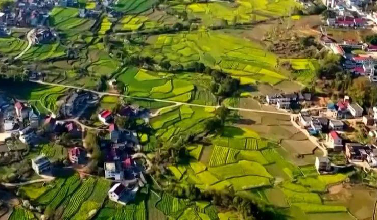 2023年中央一號(hào)文件發(fā)布，農(nóng)業(yè)發(fā)展要點(diǎn)速覽（附全文）